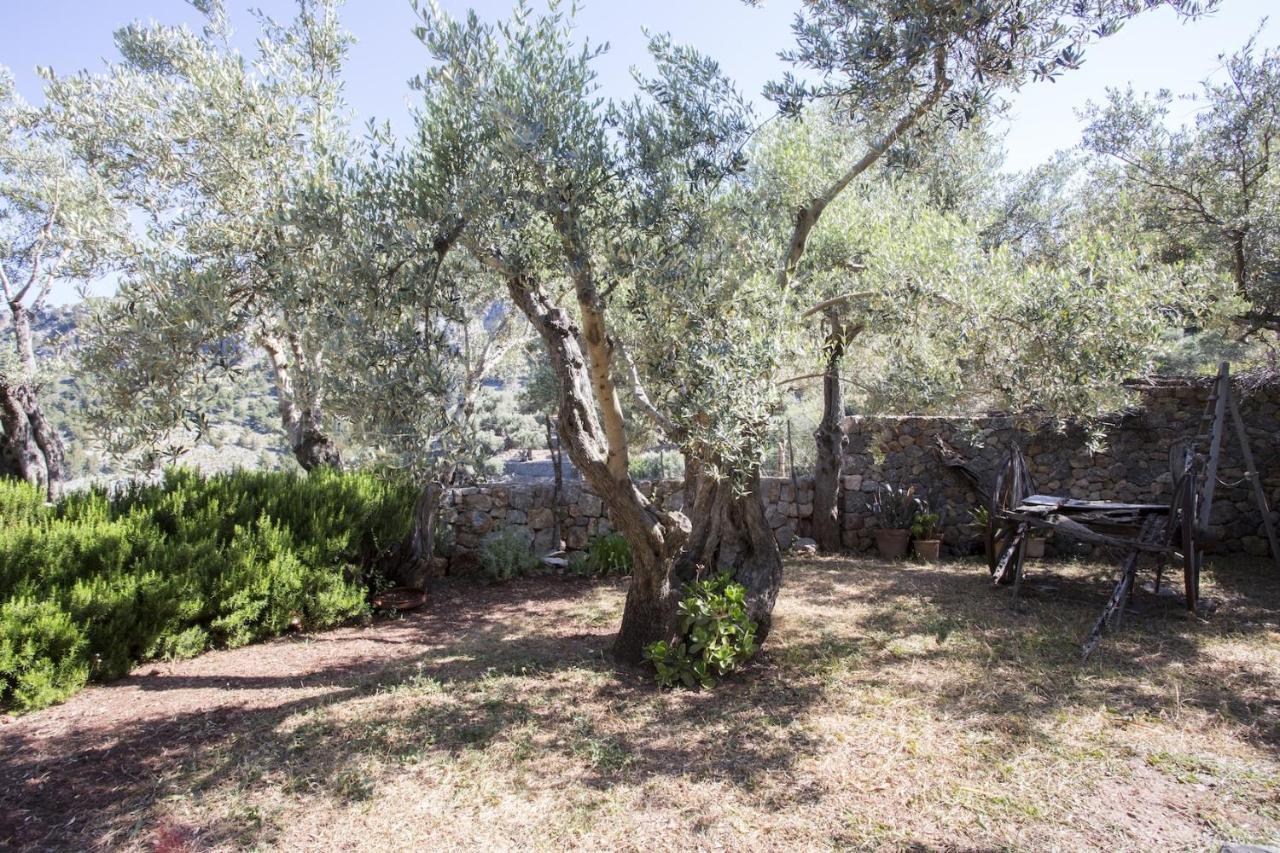 Villa Es Coco, Soller Пуэтро де Соллер Экстерьер фото