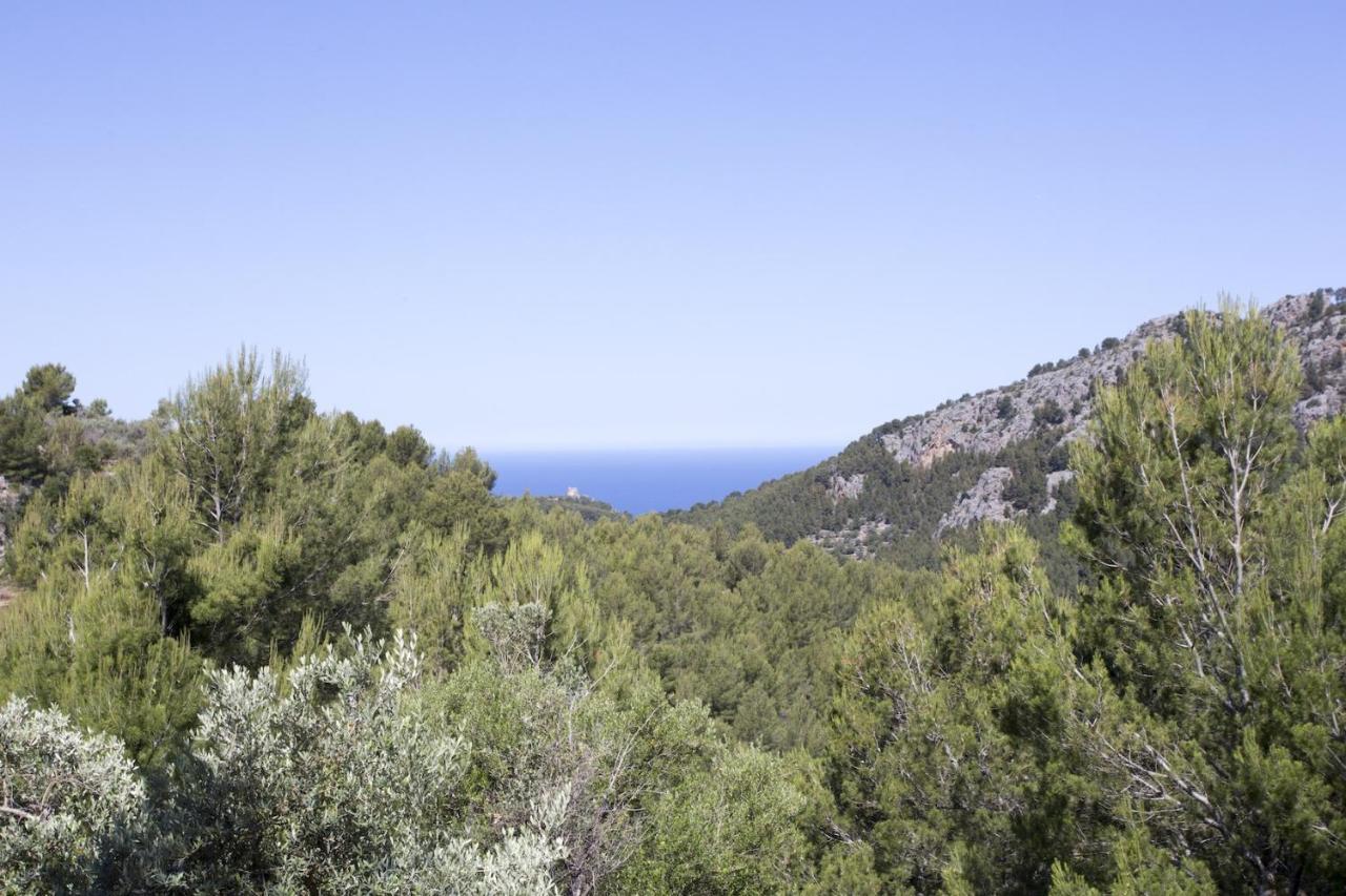 Villa Es Coco, Soller Пуэтро де Соллер Экстерьер фото