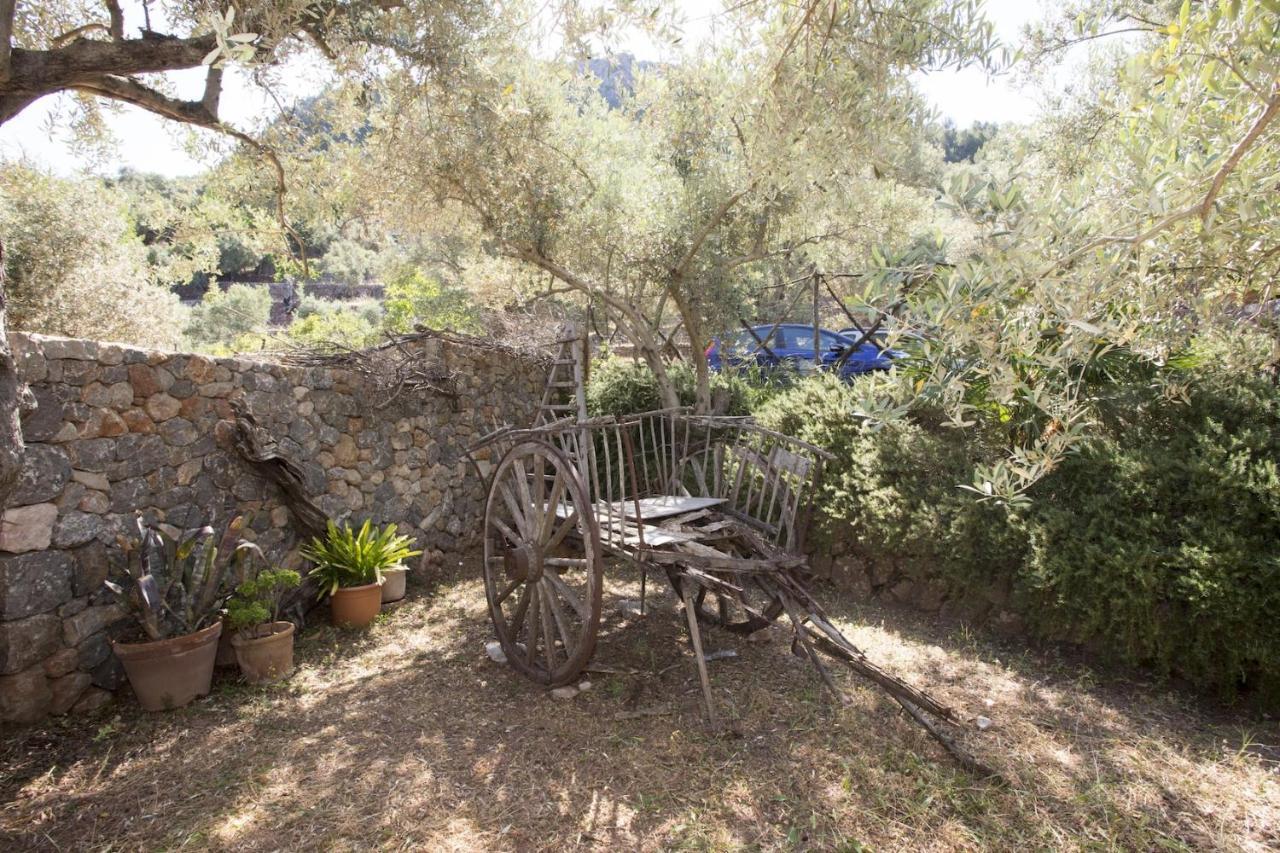 Villa Es Coco, Soller Пуэтро де Соллер Экстерьер фото